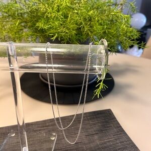 Banana Republic Silver Necklace